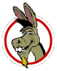 The Crazy Donkey